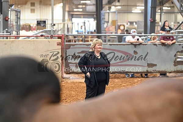 2023 ABBA National Brahman Show