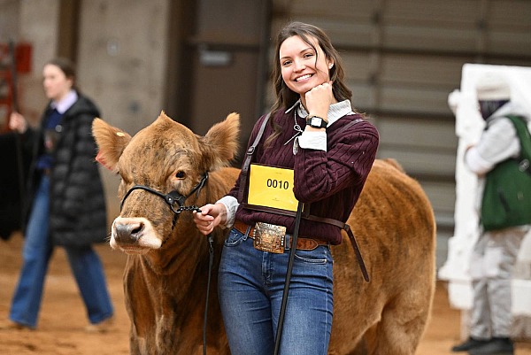 2025 Braunvieh Show Ft. Worth