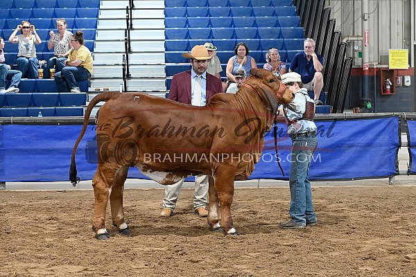 2025 Florida State Fair
