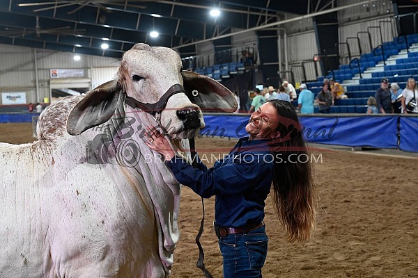 Dixie Cattle Award Photos