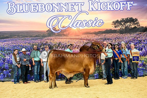 2026 Bluebonnet Kick Off Classic